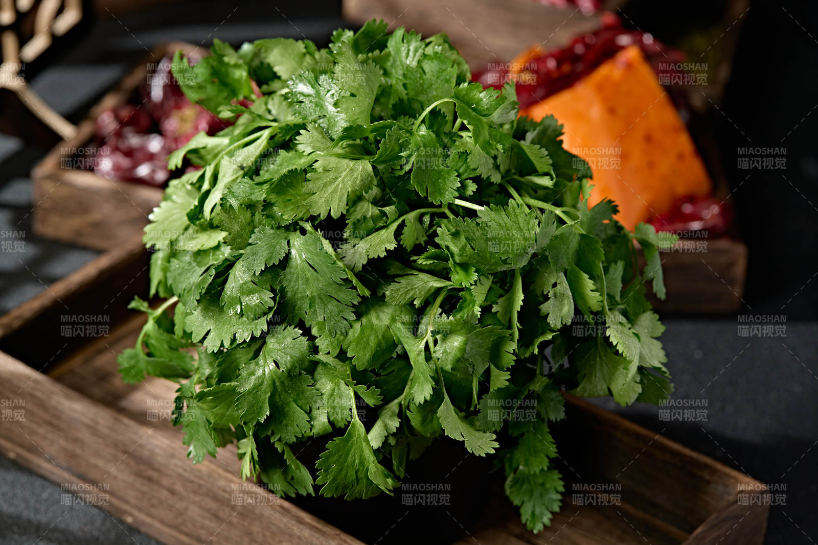 新鲜的火锅食材新鲜香菜
