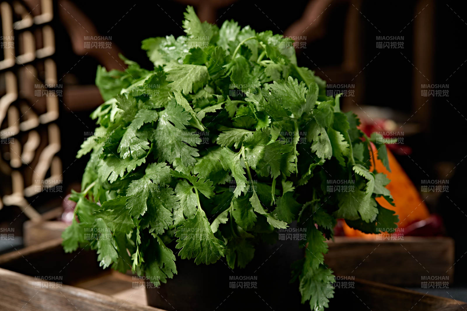 新鲜的火锅食材新鲜香菜