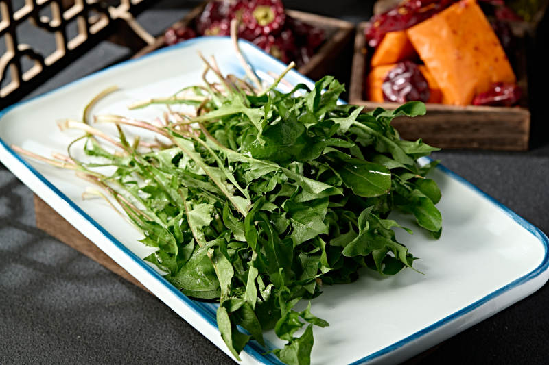 美味野菜蒲公英婆婆丁