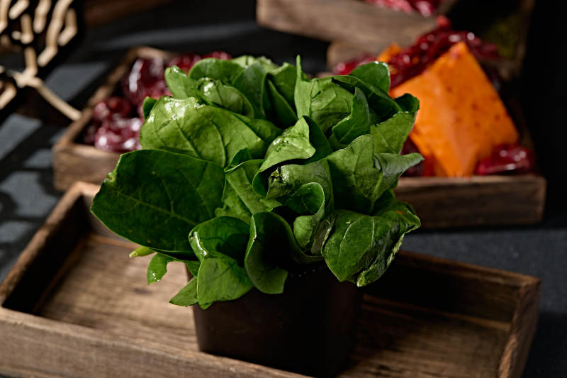 新鲜的火锅食材鲜嫩菠菜