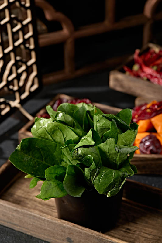 新鲜的火锅食材鲜嫩菠菜