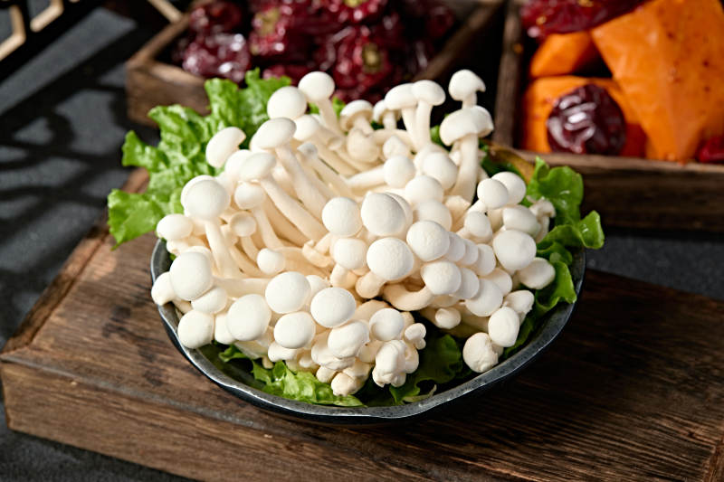 新鲜火锅配菜白玉海鲜菇