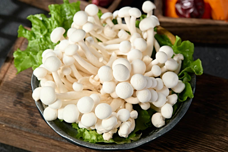 新鲜火锅配菜白玉海鲜菇