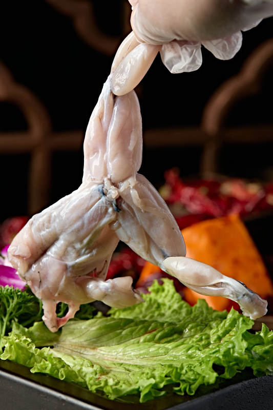 川渝火锅涮品生鲜牛蛙