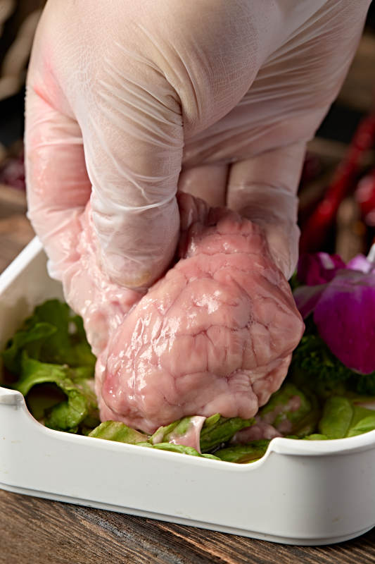 火锅食材鲜猪脑花-摄影图