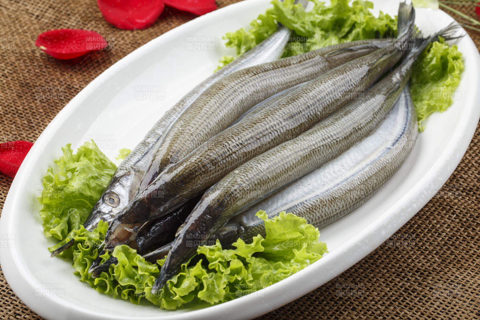 白色瓷盘装的新鲜针鱼