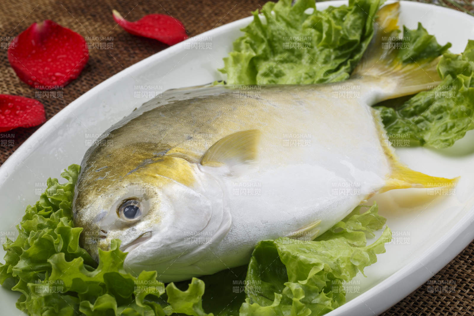 白色椭圆瓷盘装的新鲜金昌鱼图片