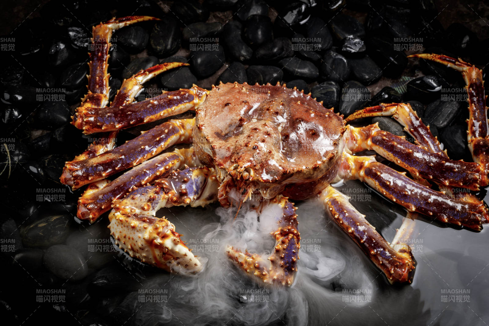 黑色鹅卵石上的深海阿拉斯加帝王蟹