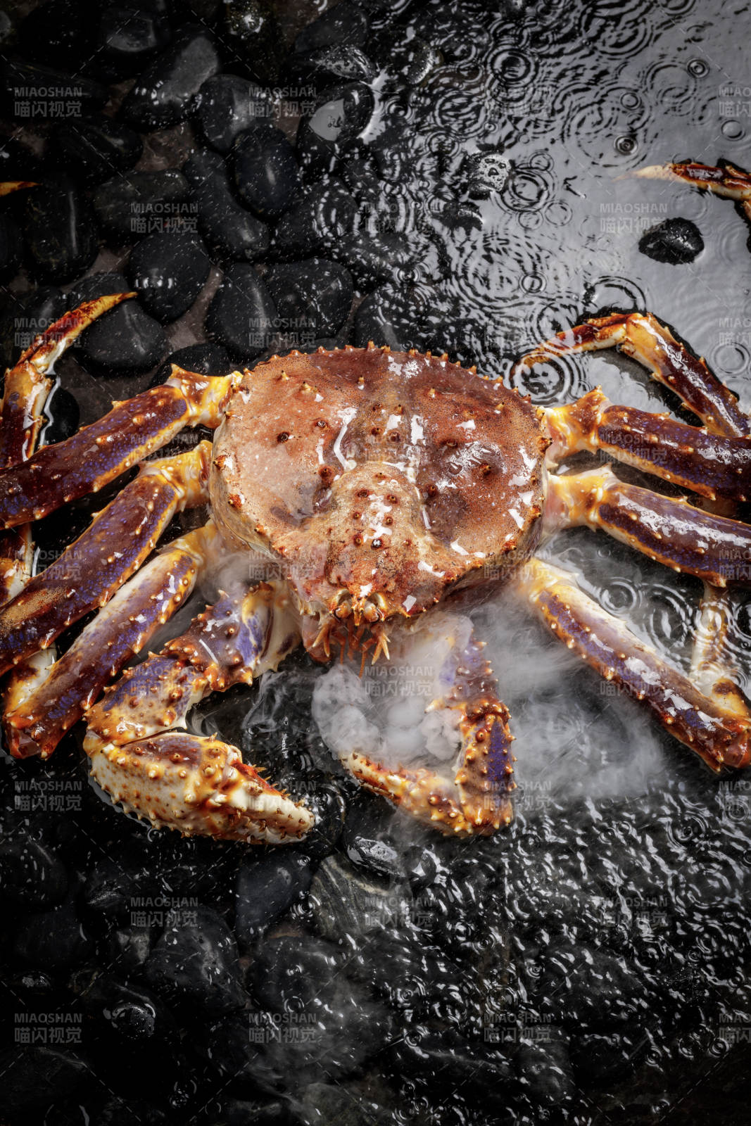 黑色鹅卵石上的深海阿拉斯加帝王蟹