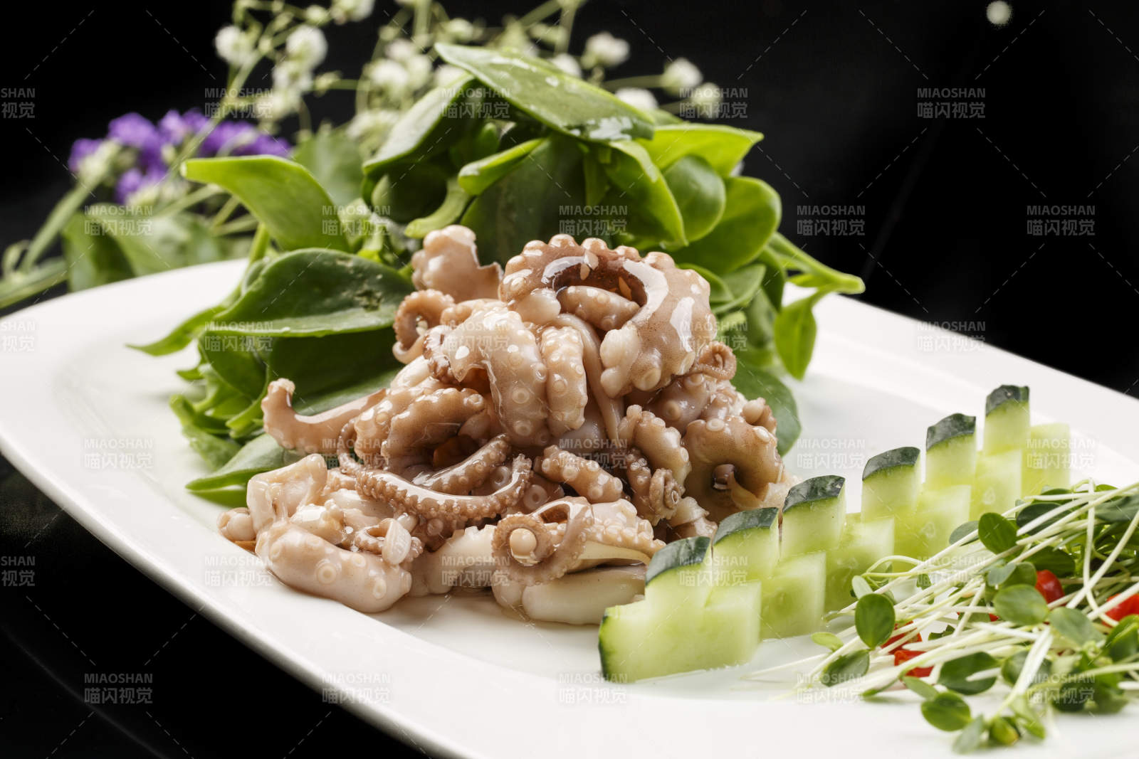 方形白瓷盘装的海鲜穿心莲拌八爪鱼