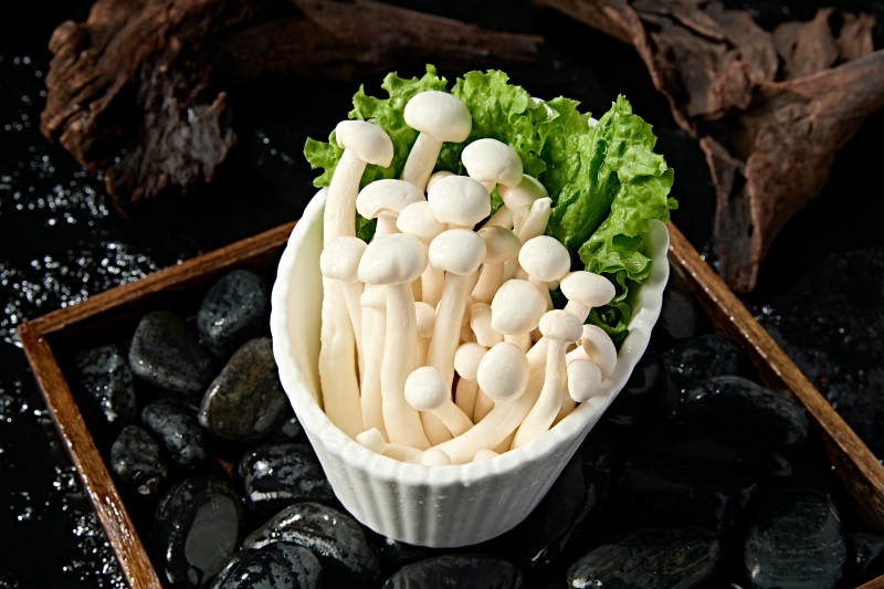 新鲜火锅配菜海鲜菇