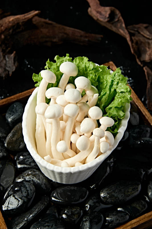 新鲜火锅配菜海鲜菇