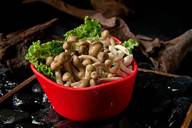 新鲜火锅配菜白玉海鲜菇