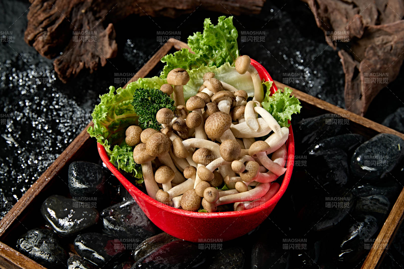 新鲜火锅配菜白玉海鲜菇