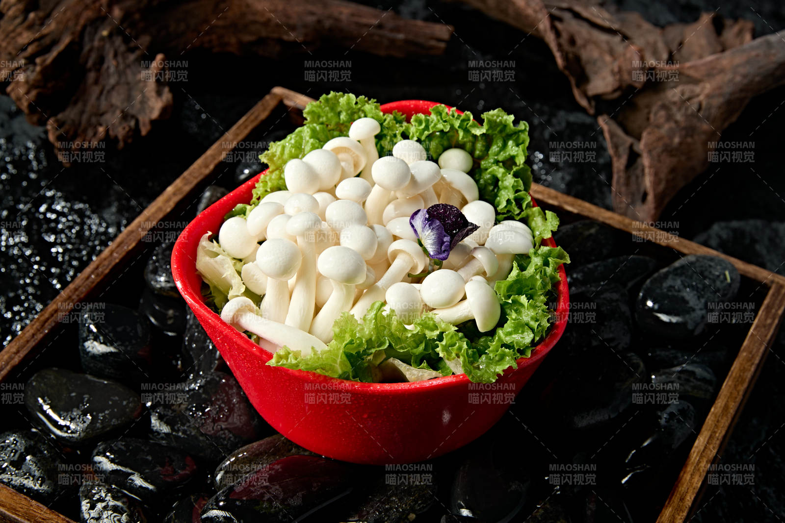 火锅食材白玉蘑菇