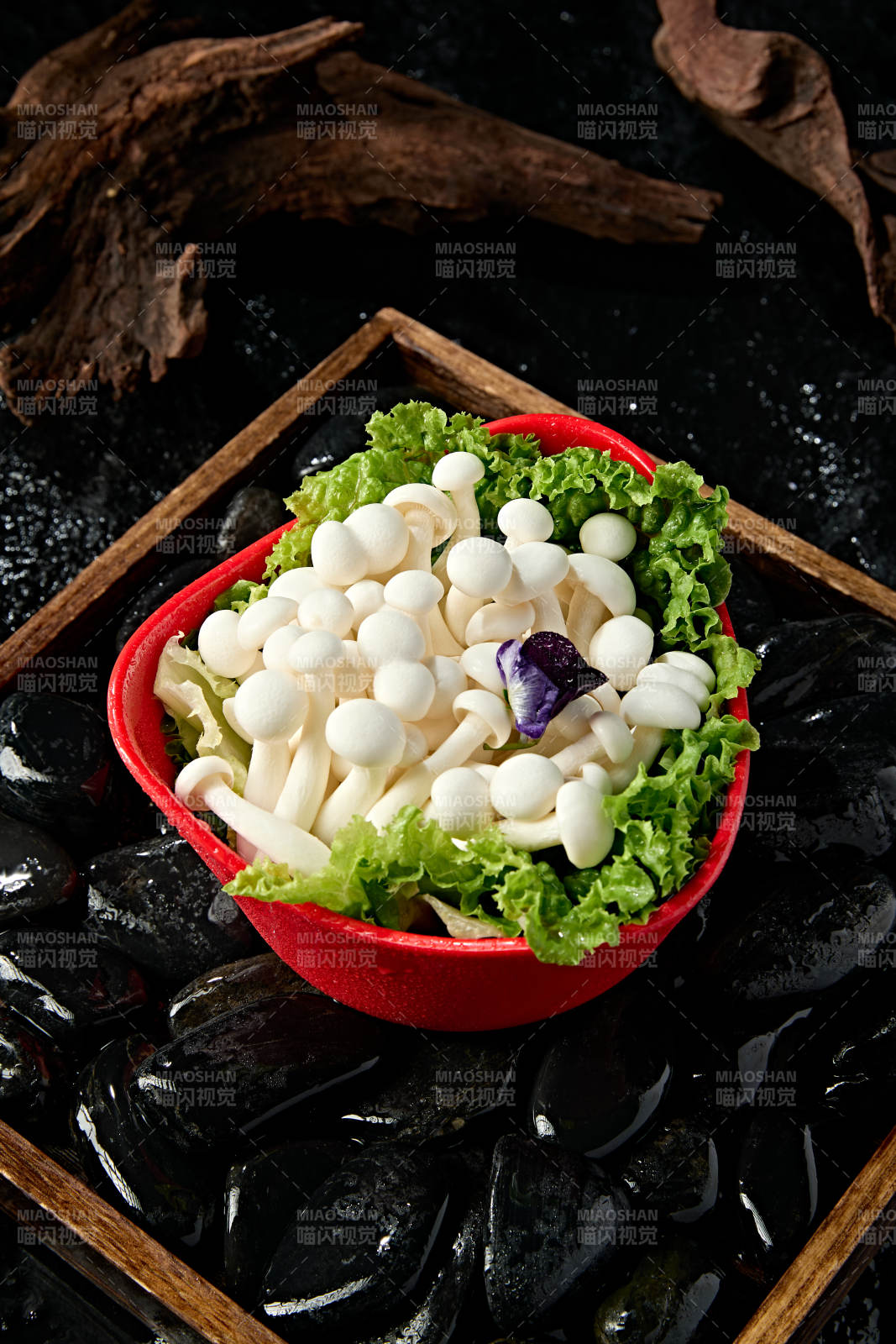 火锅食材白玉蘑菇