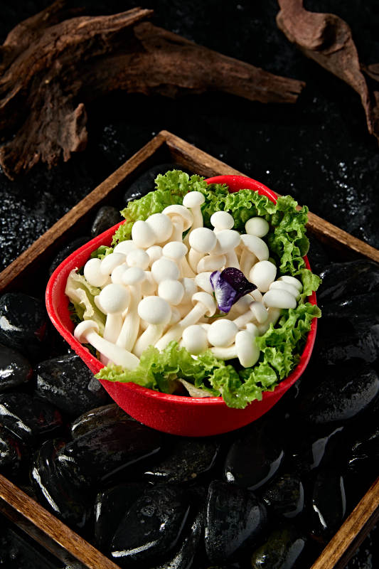 火锅食材白玉蘑菇