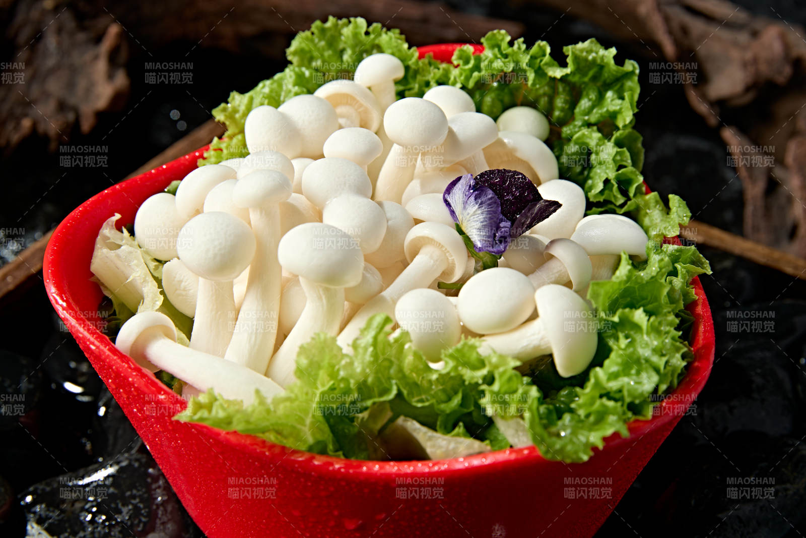 火锅食材白玉蘑菇