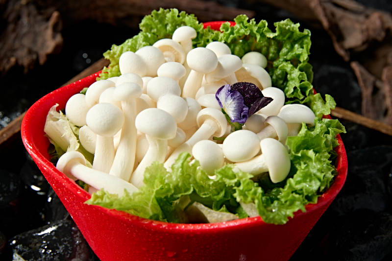 火锅食材白玉蘑菇