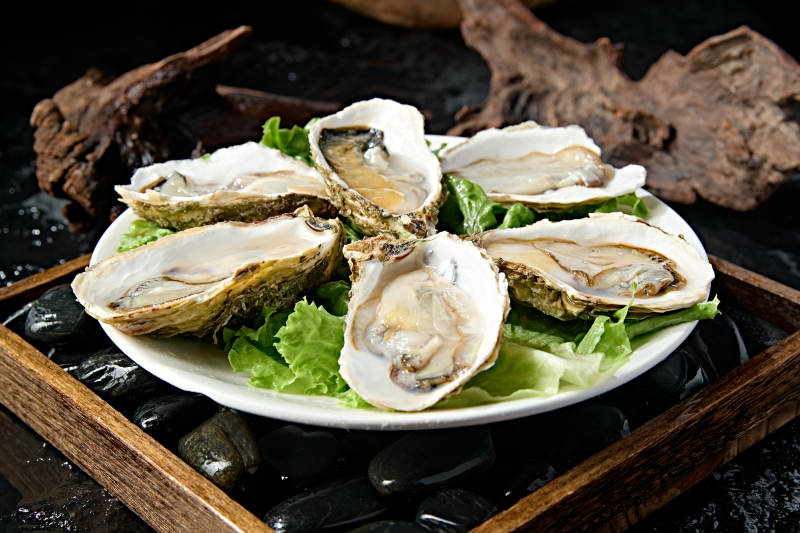 火锅食材鲜开生蚝