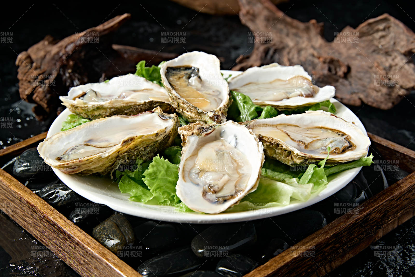 火锅食材鲜开生蚝