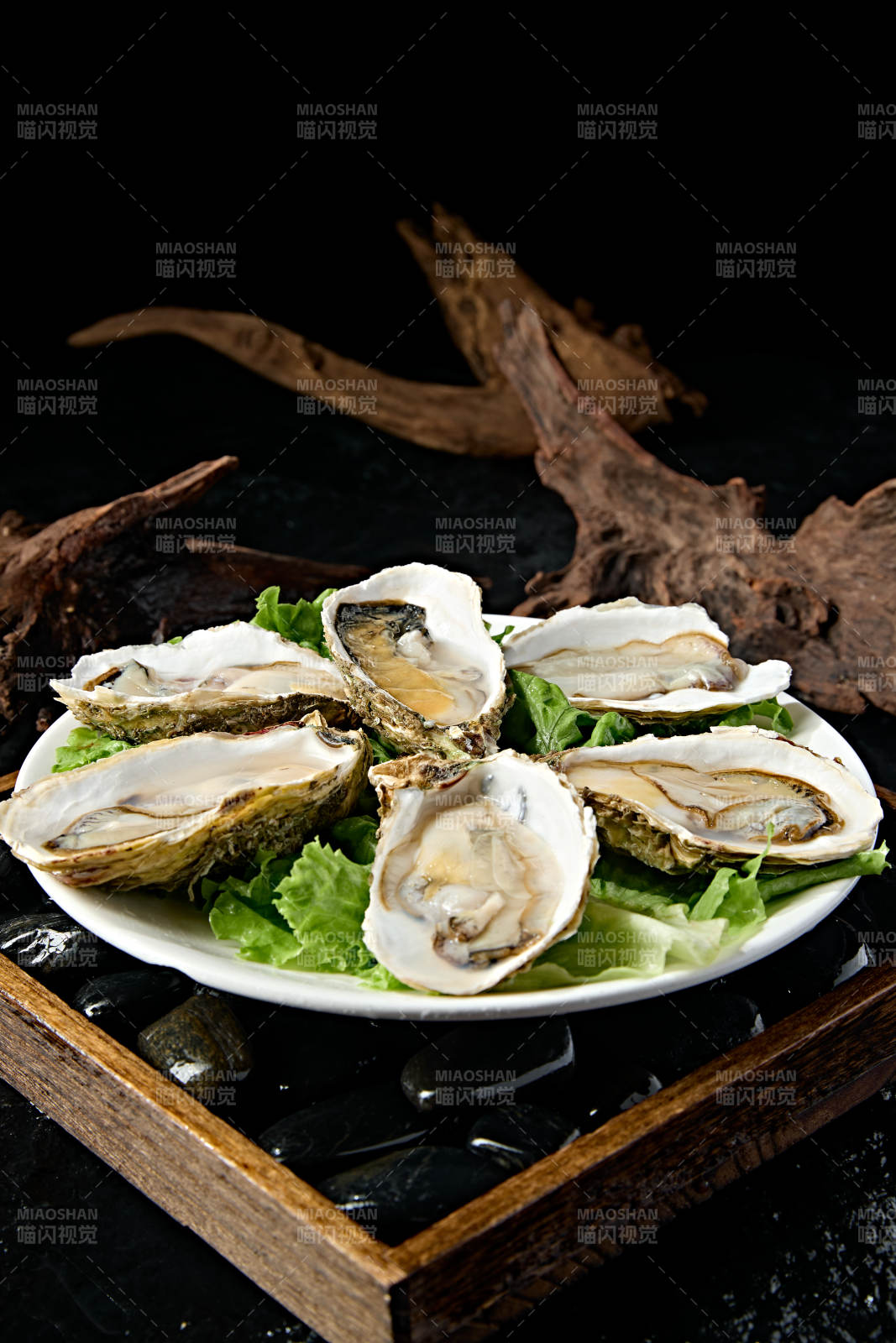 火锅食材鲜开生蚝