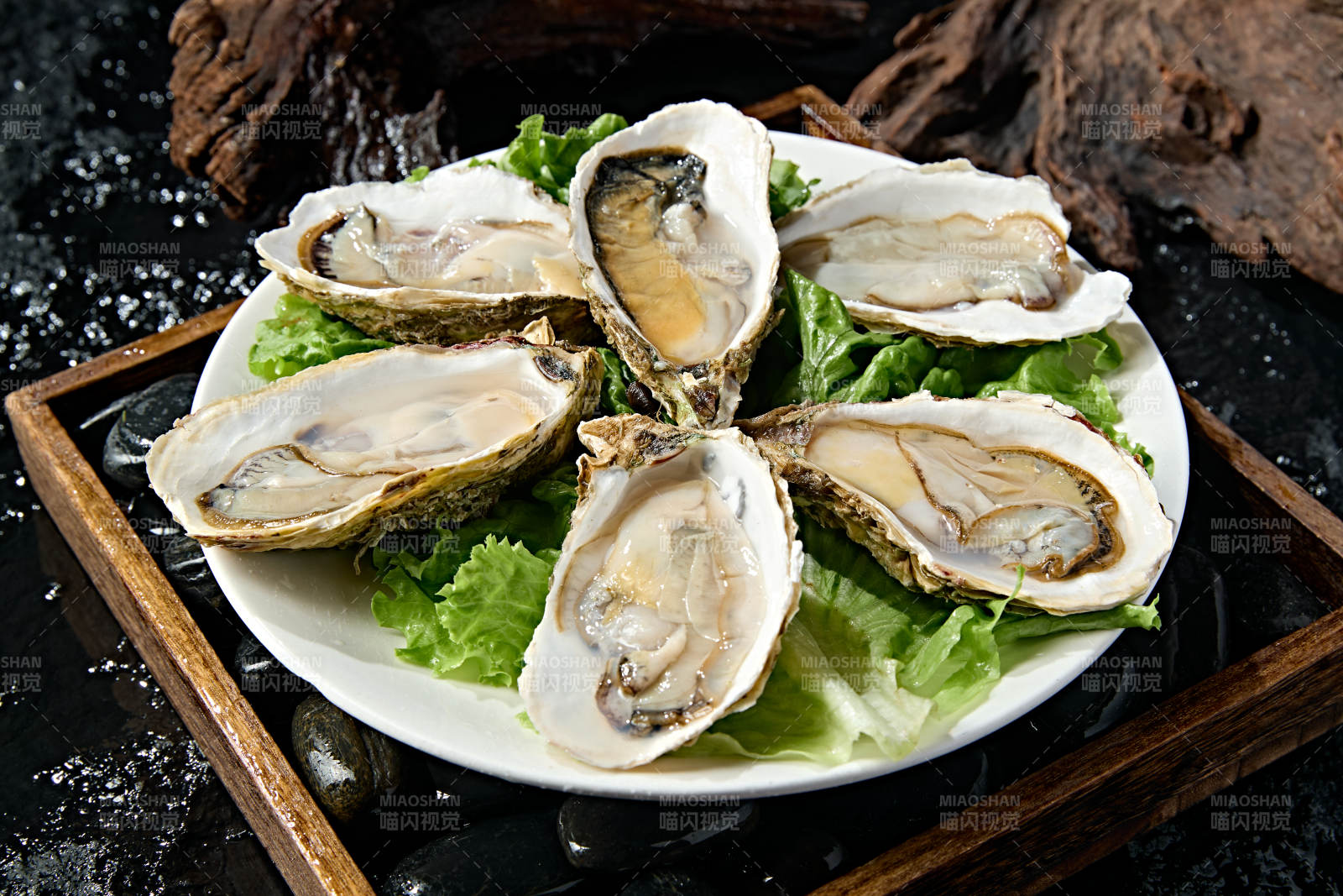 火锅食材鲜开生蚝