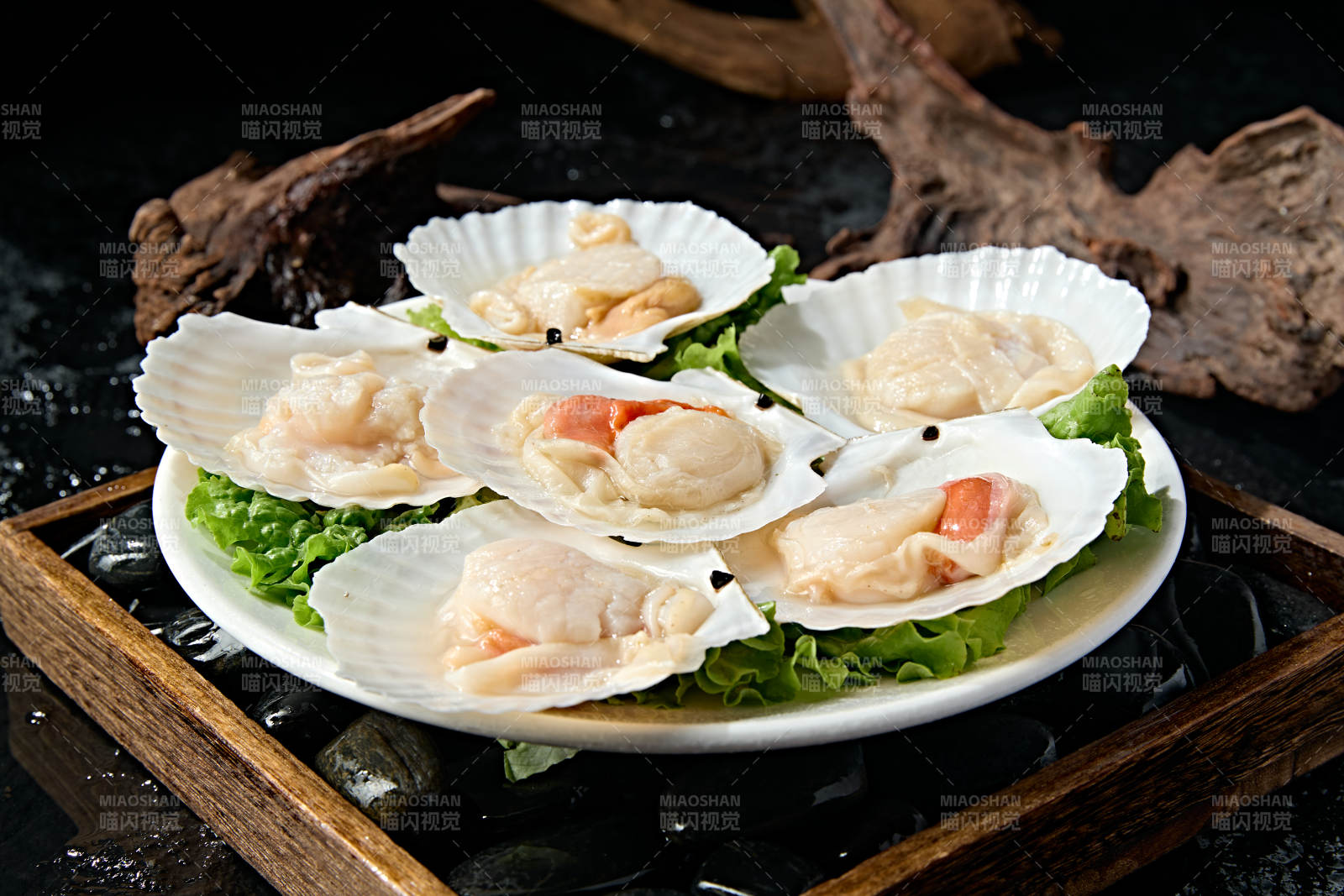 火锅食材新鲜扇贝