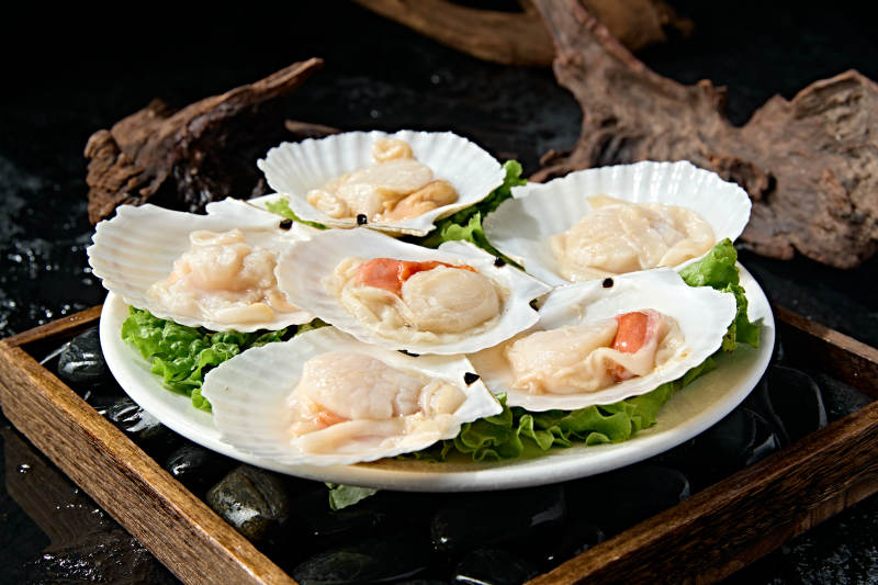 火锅食材新鲜扇贝