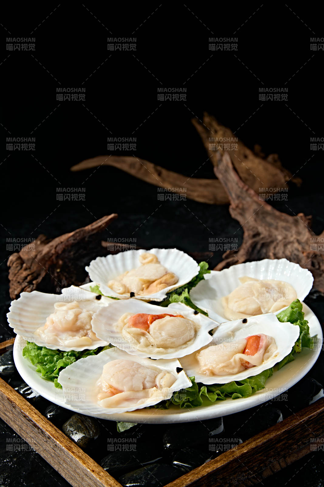 火锅食材新鲜扇贝