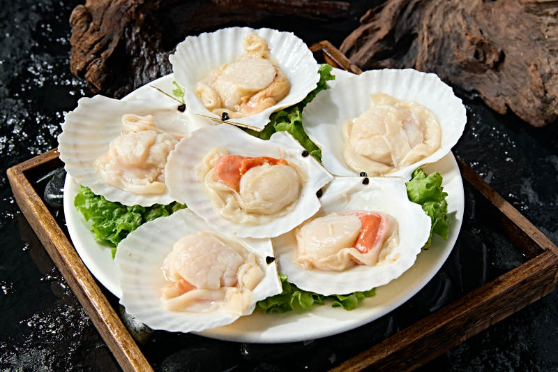 火锅食材新鲜扇贝