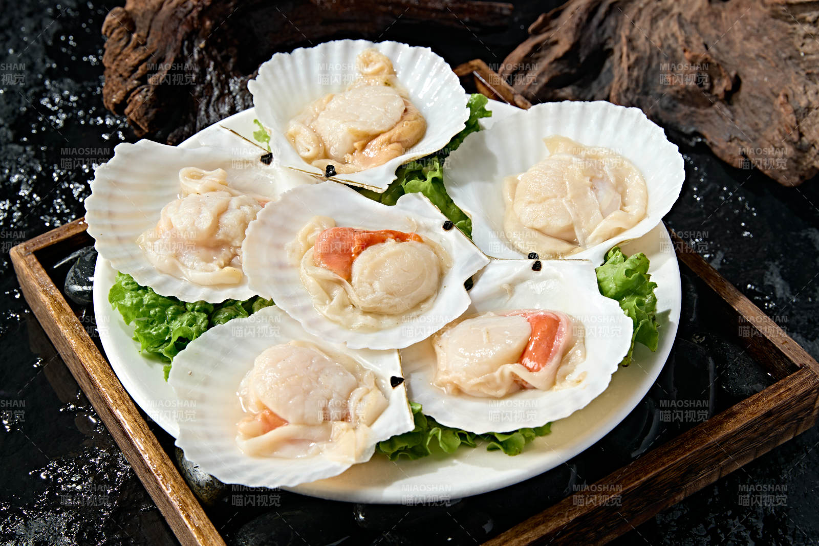 火锅食材新鲜扇贝