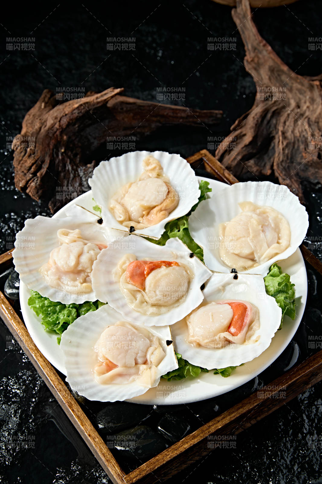 火锅食材新鲜扇贝