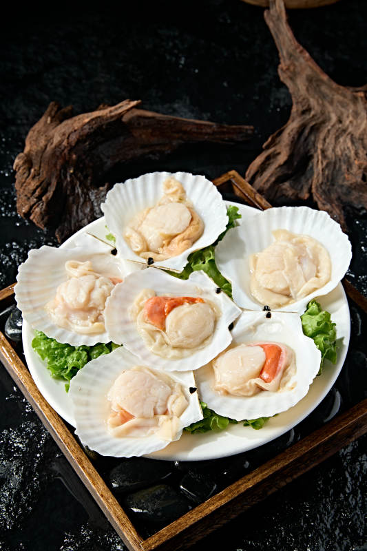 火锅食材新鲜扇贝