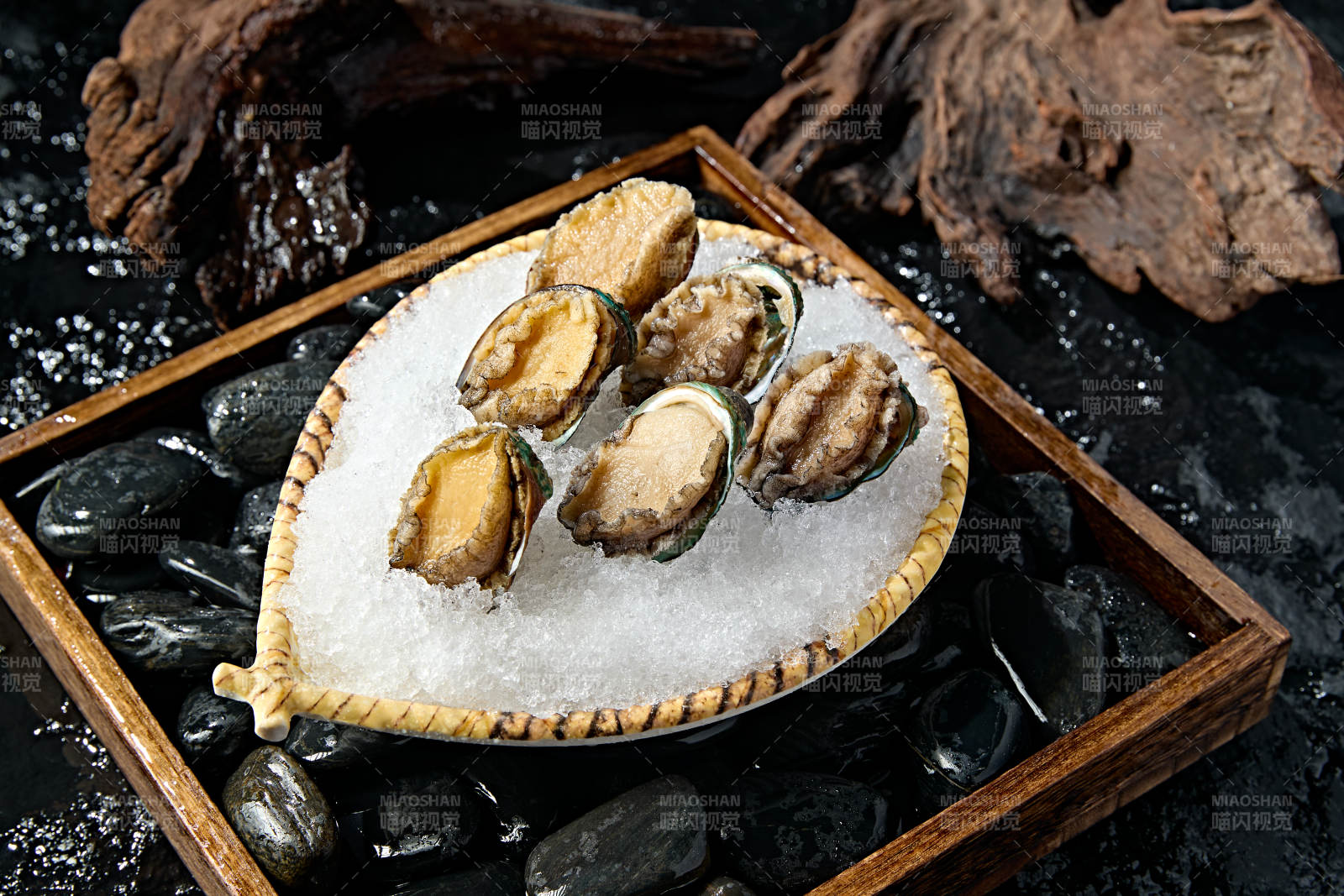 火锅食材新鲜鲍鱼