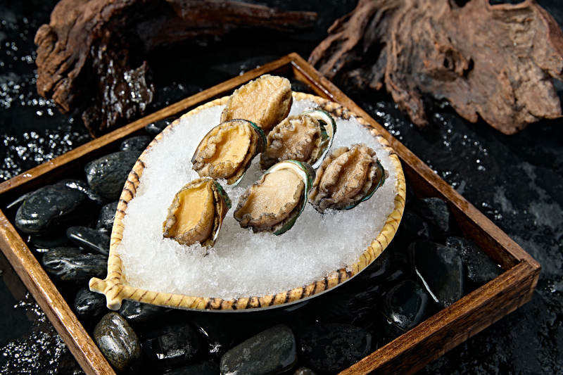 火锅食材新鲜鲍鱼