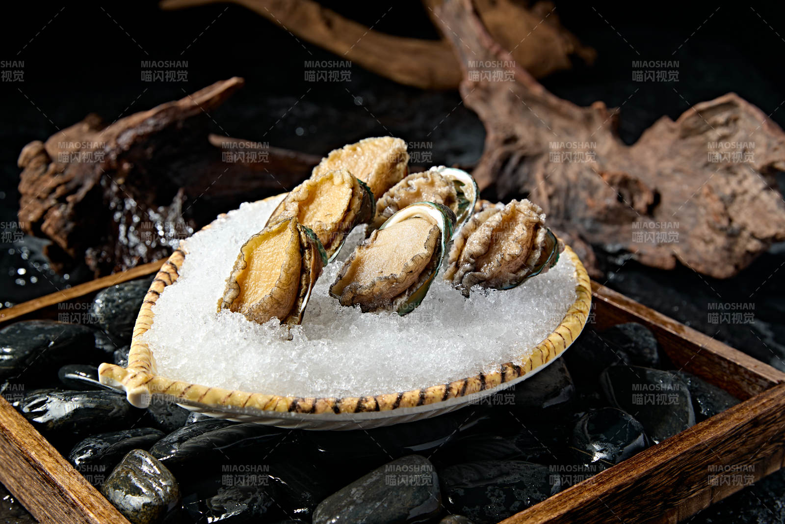 火锅食材新鲜鲍鱼