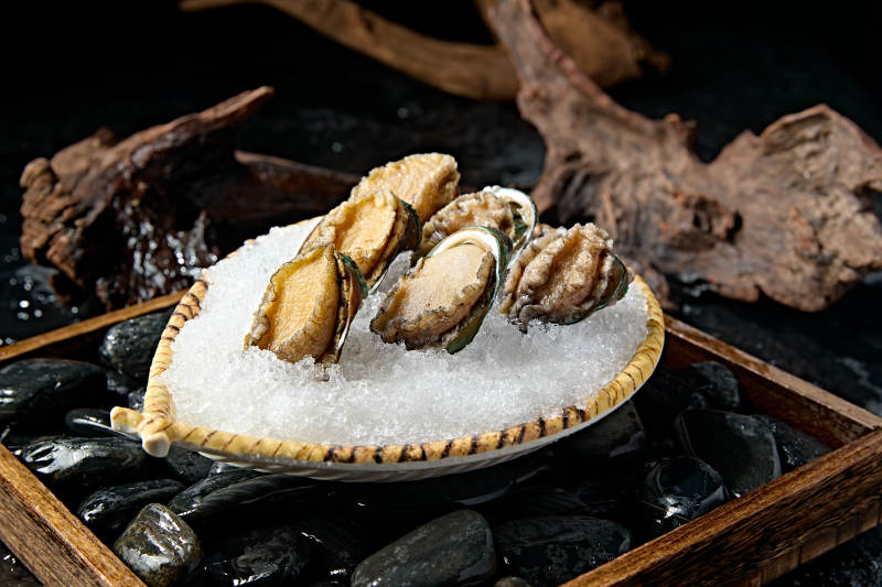 火锅食材新鲜鲍鱼