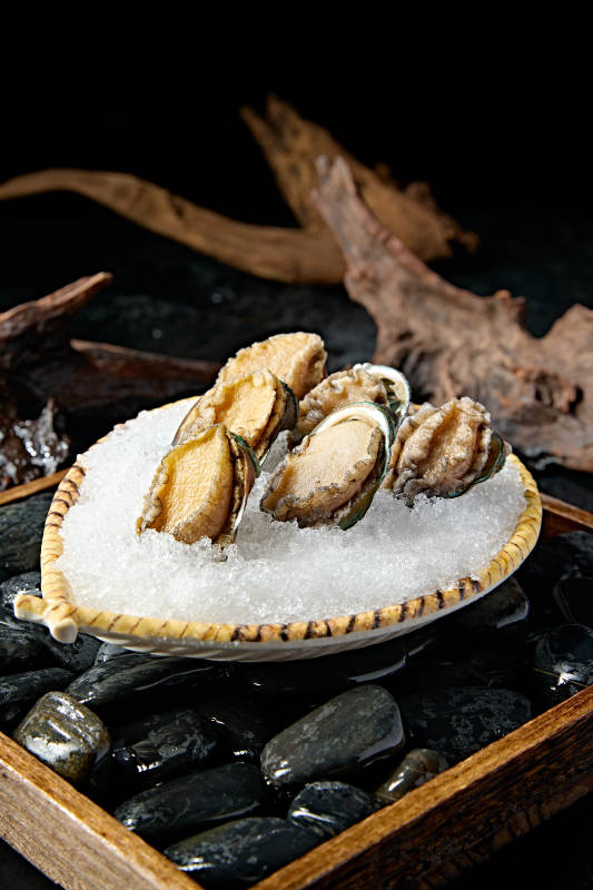 火锅食材新鲜鲍鱼