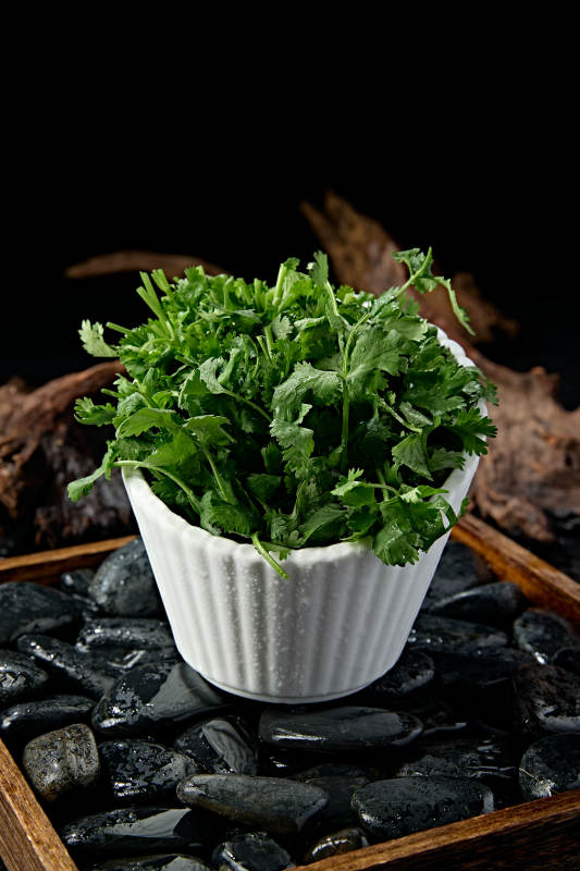 新鲜的火锅食材新鲜香菜