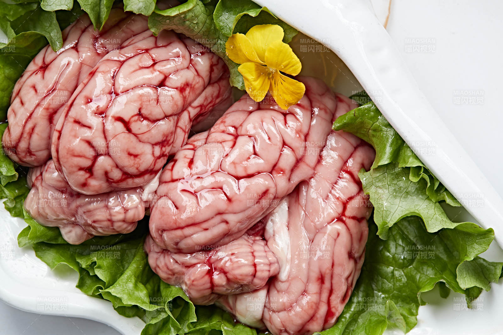 火锅食材鲜猪脑花-摄影图