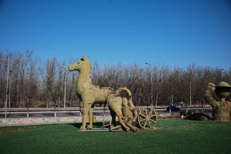 北京海淀稻香花海—草雕马车雕塑