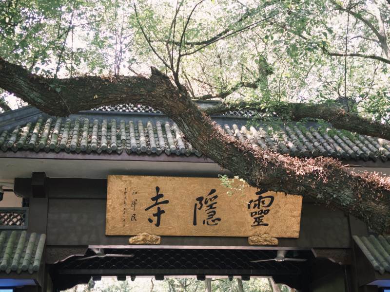 灵隐寺古树掩映