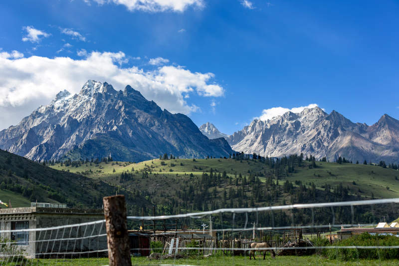 四川甘孜理塘雪山草原风光