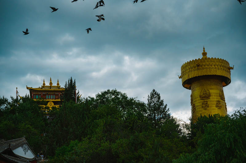 飞鸟掠过独克宗金塔