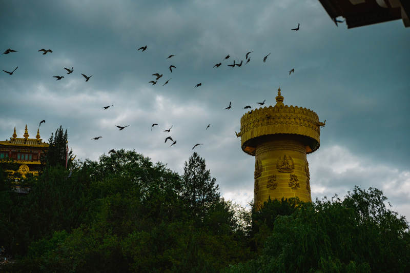 独克宗飞鸟绕金塔