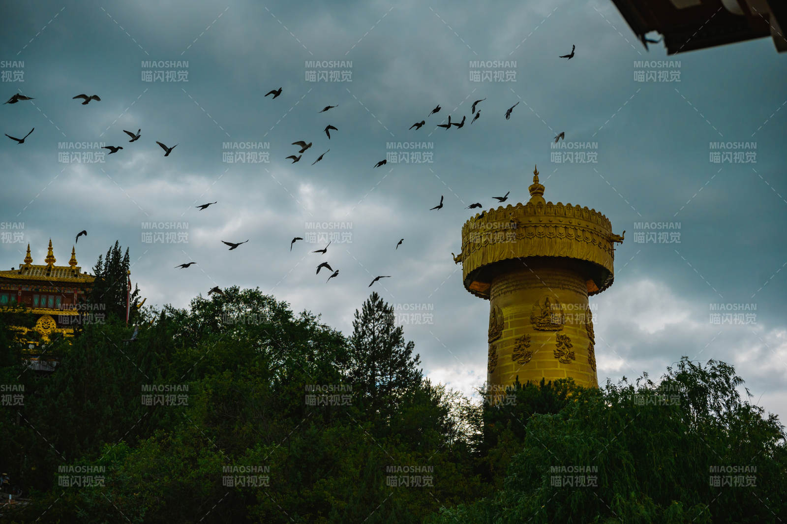 独克宗飞鸟绕金塔