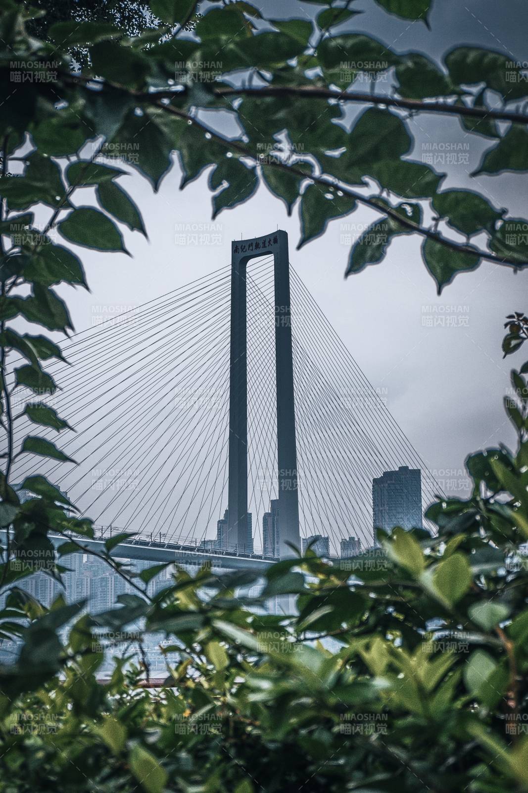 重庆南纪门轨道大桥