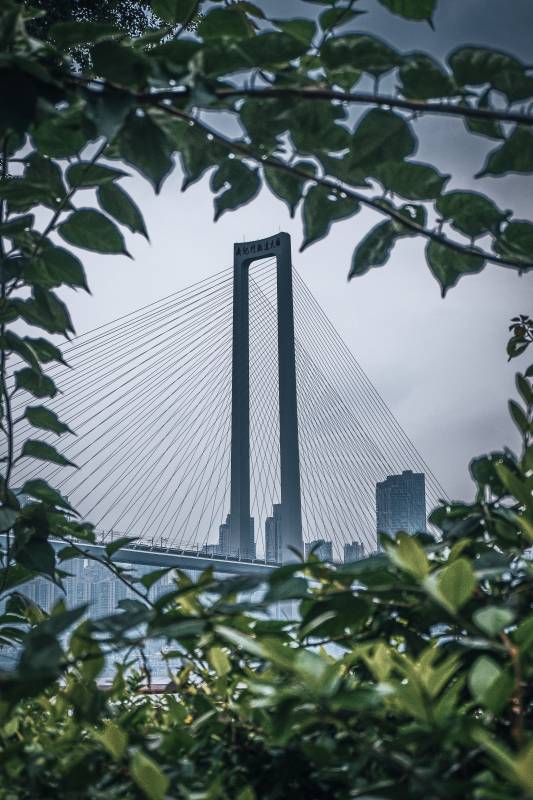 重庆南纪门轨道大桥