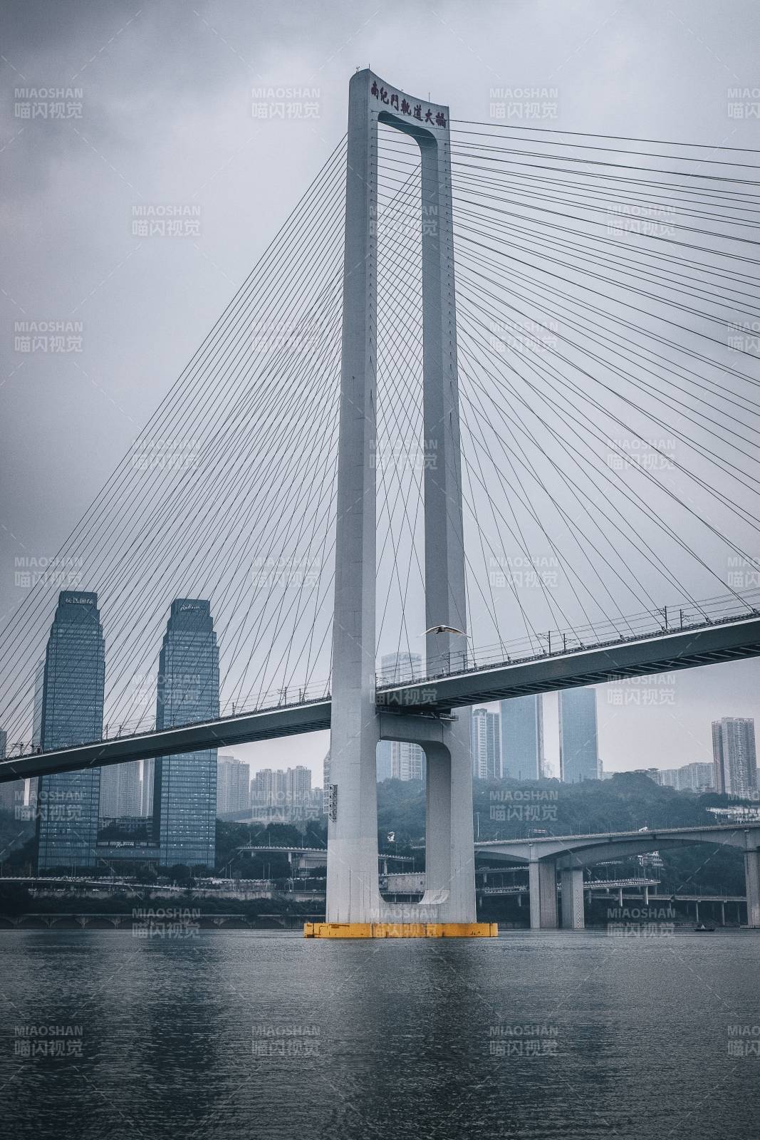 重庆南纪门大桥与长江国际同框